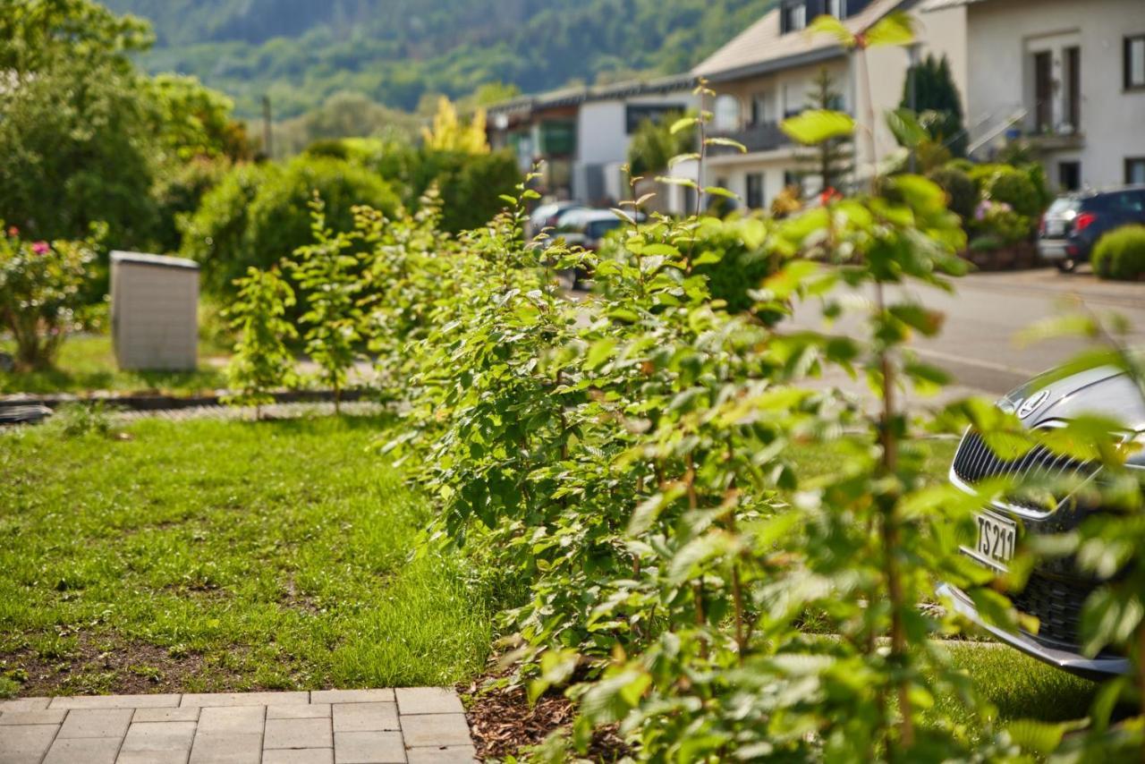 Mittelmosel Panorama Ferienwohnung Kinheim Dış mekan fotoğraf